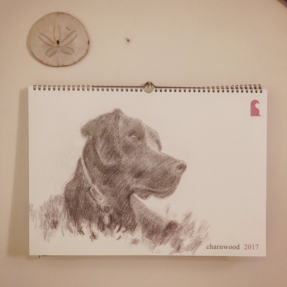 Hot off the press (printed by our chums next door <a href="/CrossprintLtd/">Crossprint</a> ) #2017