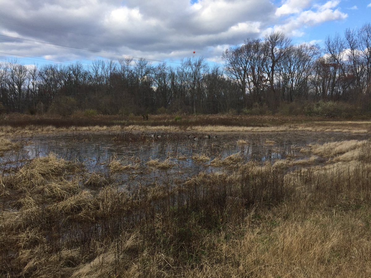 wisstrails's tweet photo. After all the rain this week the #vernalpond at #DodsworthRun Preserve is full & housing resident waterfowl! #montco https://t.co/BXOc9YLq9S