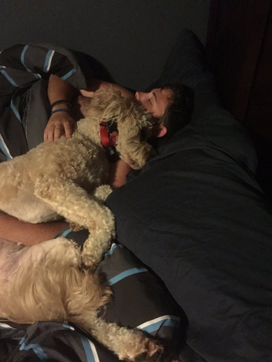 ZacExperiences's tweet photo. 2 weeks today till I'm reunited with my best furry friend #hellodoge https://t.co/P02C5bg6iN