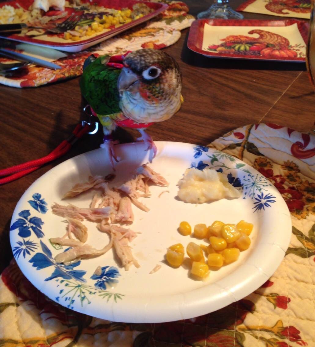 #FlashbackFriday Me on Thanksgiving in 2013. Miss u all! #OTRB #love