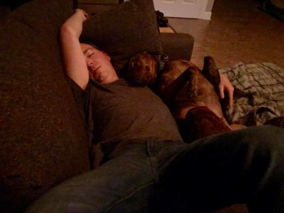 TheJasonNash's tweet photo. Think the #plotthound missed me. #PlottHoundLife https://t.co/7tVFNWCi1E