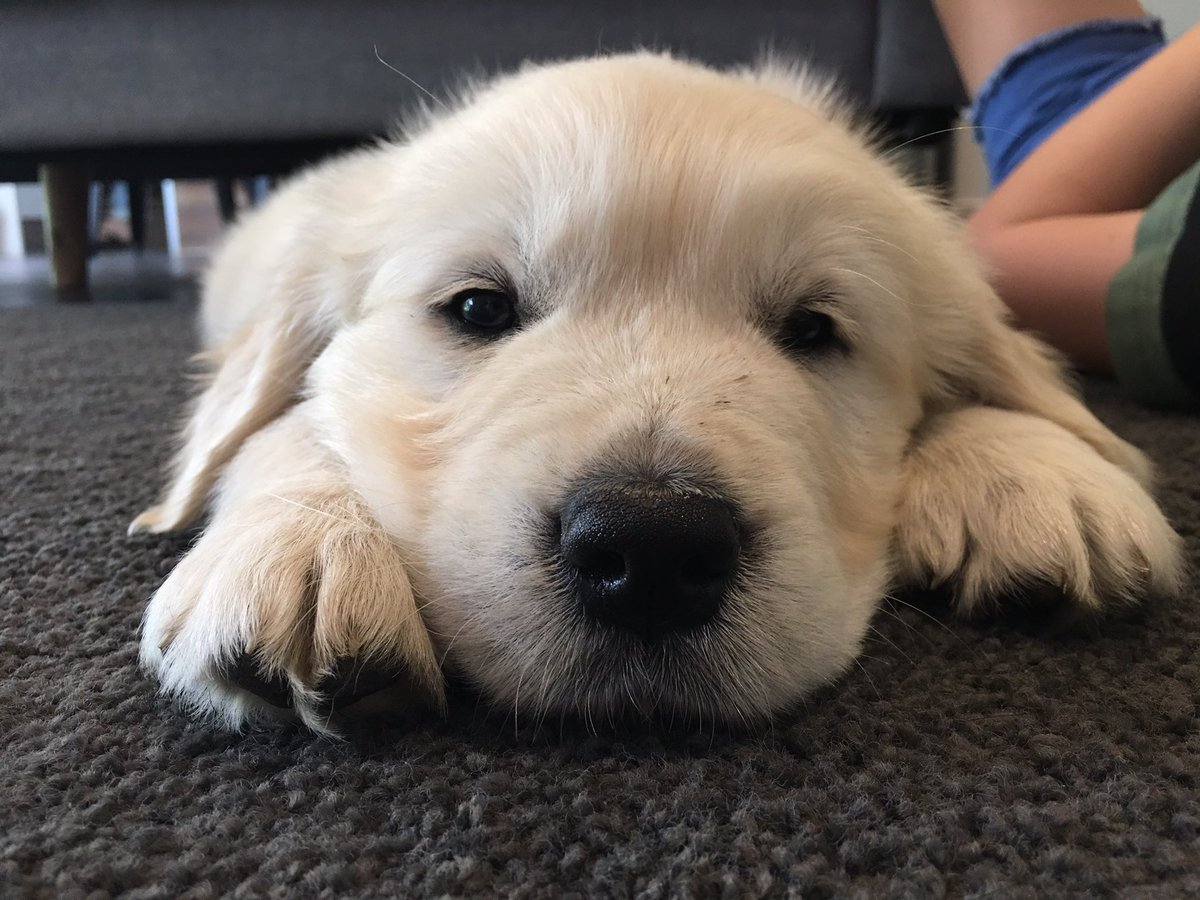 Rebecca Whitaker tweet media