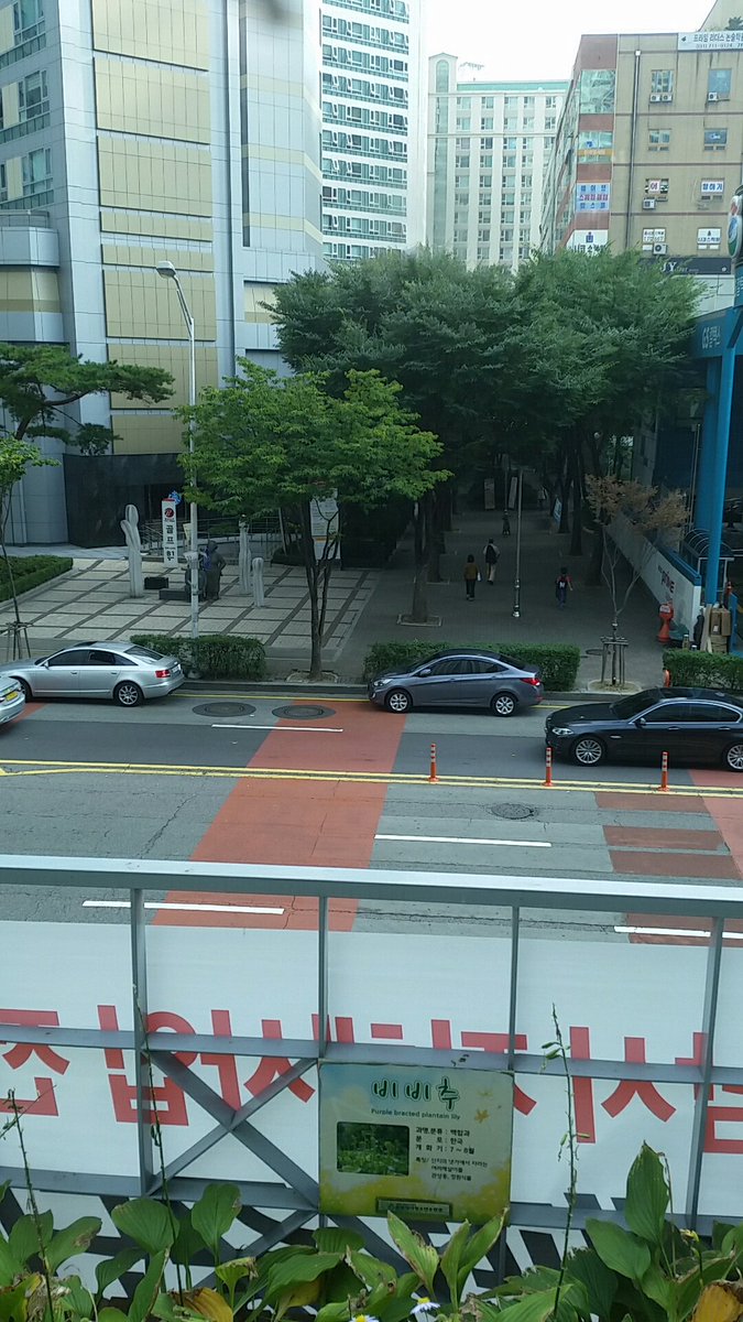 에이파이브 tweet media