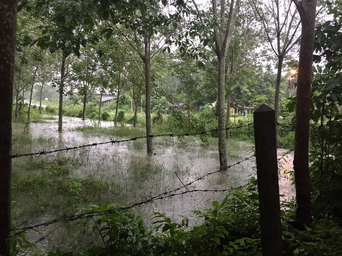 KhanomEstate's tweet photo. น้ำท่วมถ้วยยางแล้ว จะถึงบ้านแล้วค่ะ #khanom https://t.co/xda8ZRL8oE