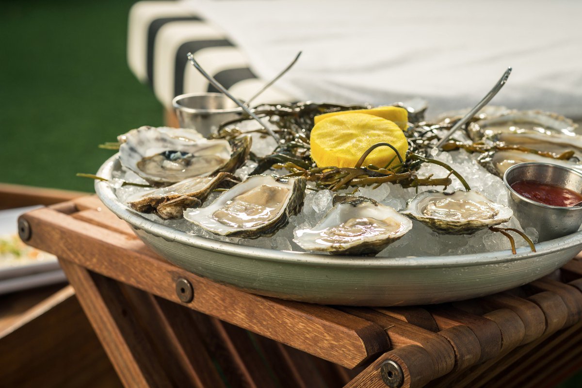 The Dutch tweet media