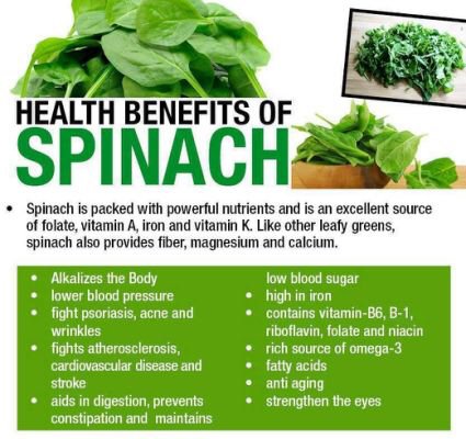 edengardenfv's tweet photo. Health Benefits of Spinach #Spinach #AntiAging #EyeHealth #Iron #HeartHealth #Vitamins #Minerals #Omega3 #Alkalizes #EdenGarden #Mississauga https://t.co/hyCCpvOaLL