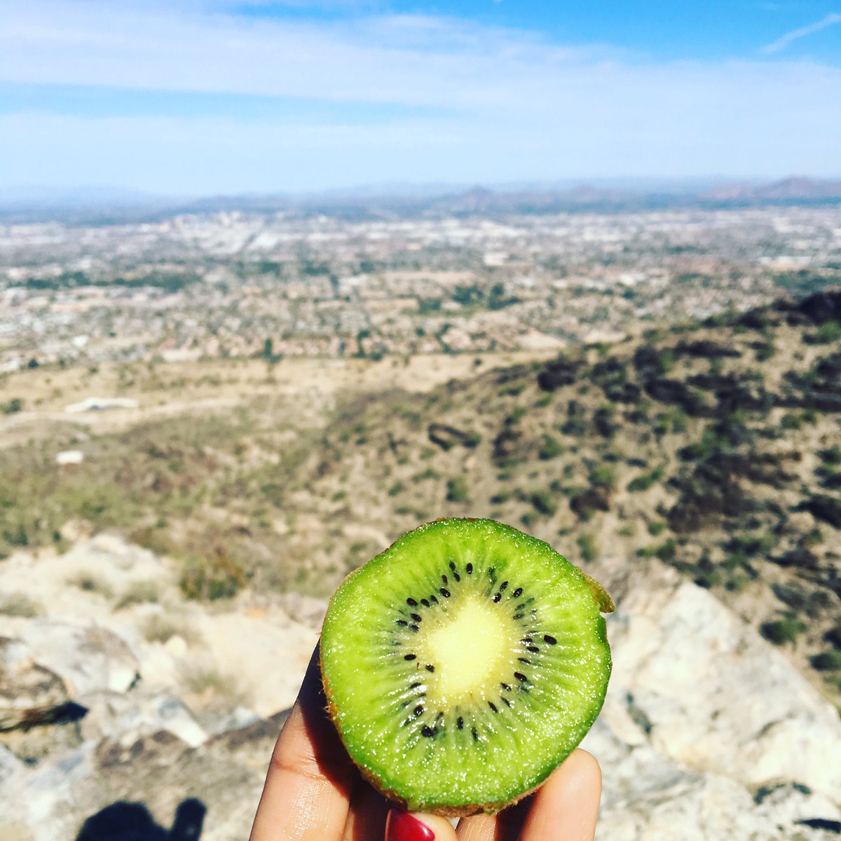 ClopezfonsecaC's tweet photo. Kiwi is a great source of vitamin C #gotvitaminc / Los kiwis son una excelente fuente de vitamina C #NTR351 https://t.co/WPBwDWn9mT