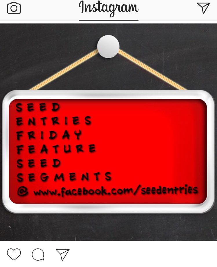zaramatayahu's tweet photo. Words from my bro @Trevs_Thoughts #truth #ActivateFaith #ActiveFaith #SupportFaith #StrengthenFaith #KnowFaith #FridayFeature #seedsegments https://t.co/AOWqvWlvu0