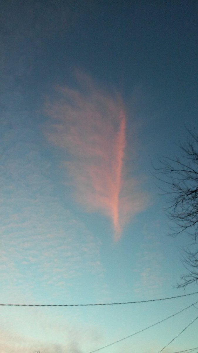 HannWill6's tweet photo. today☁ https://t.co/NmRmCjdw7A