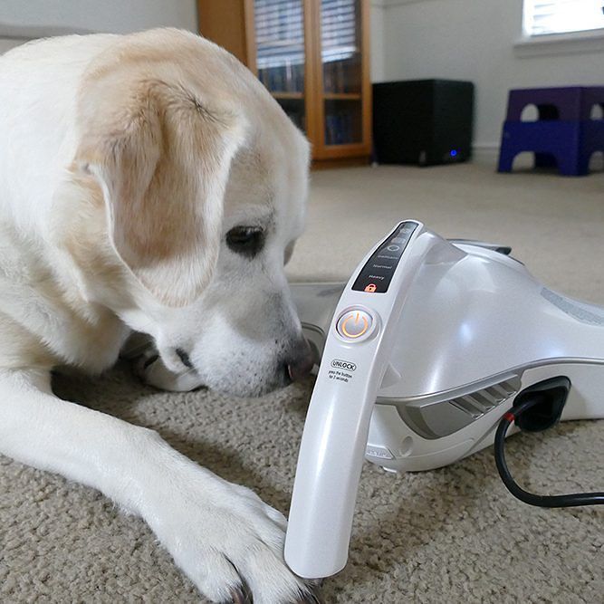 FamilyTech's tweet photo. Keep the flu away from your family and #CleantheUnseen with the RAYCOP RS2 #ad #linkinprof… https://t.co/aD8PyDkV4l https://t.co/C9AkV5Gl2f