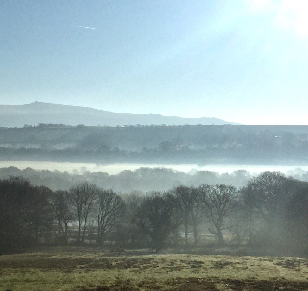 greatburrow's tweet photo. Frosty morning https://t.co/hTjBIRgT36