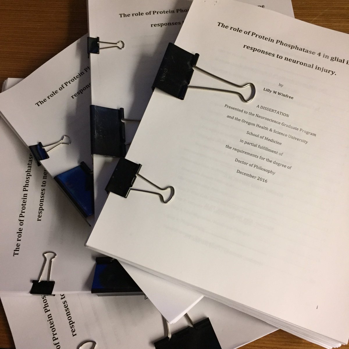 essay about friendly video games effect