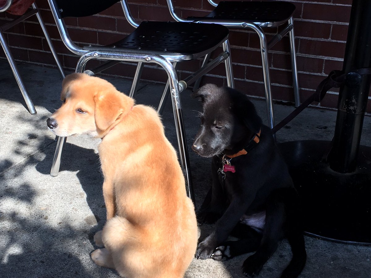 Jay4Funstuff's tweet image. 