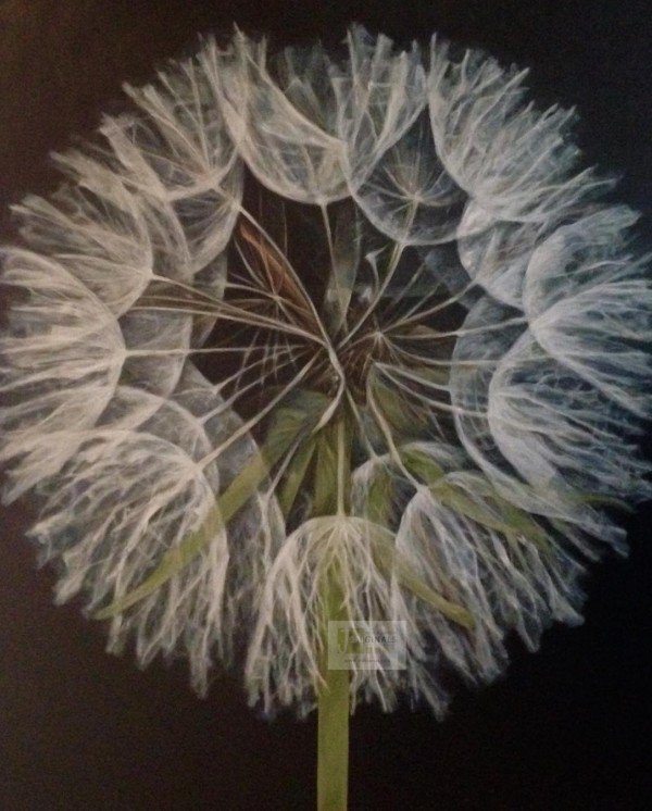"Crown of Wishes" acrylics by Jori Warren <a href="/Joriginals1/">Jori | Artist | Dog mom</a> artofday.com/wordpress/?p=7… #TwitterFirstFriday #dandelion #painting
