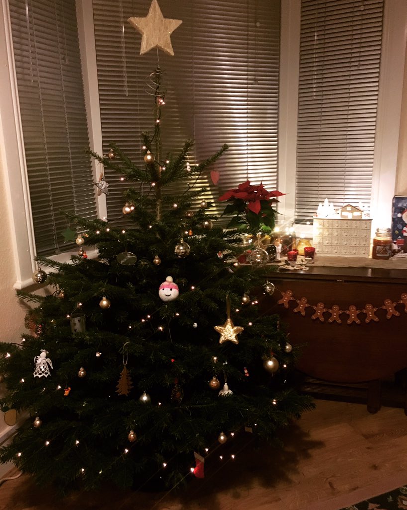 Hannah__Marie__'s tweet photo. @hellopatch so happy with our beautiful tree and fab service 🎄💛thankyou! https://t.co/QN98SOLrMH