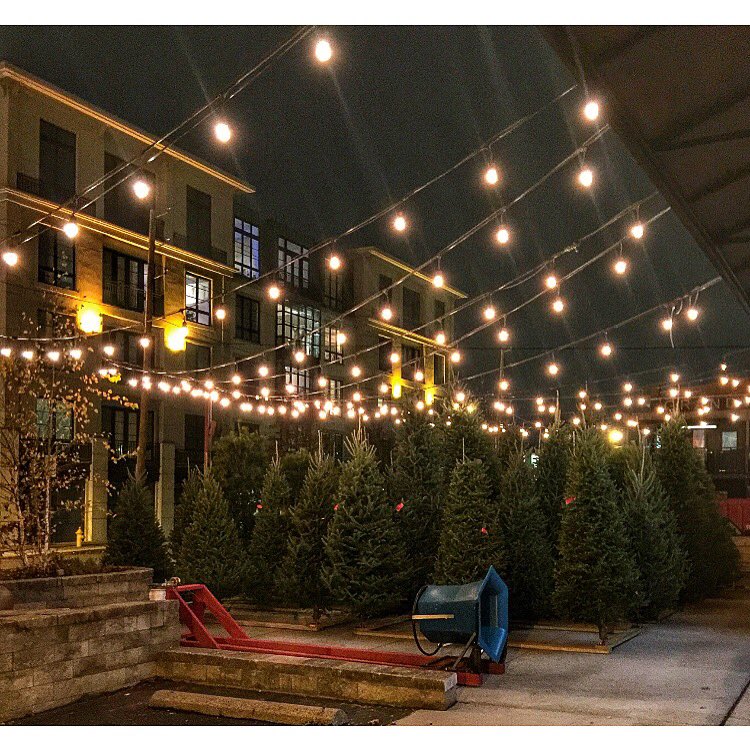 We're a xmas tree farm 👊🏼