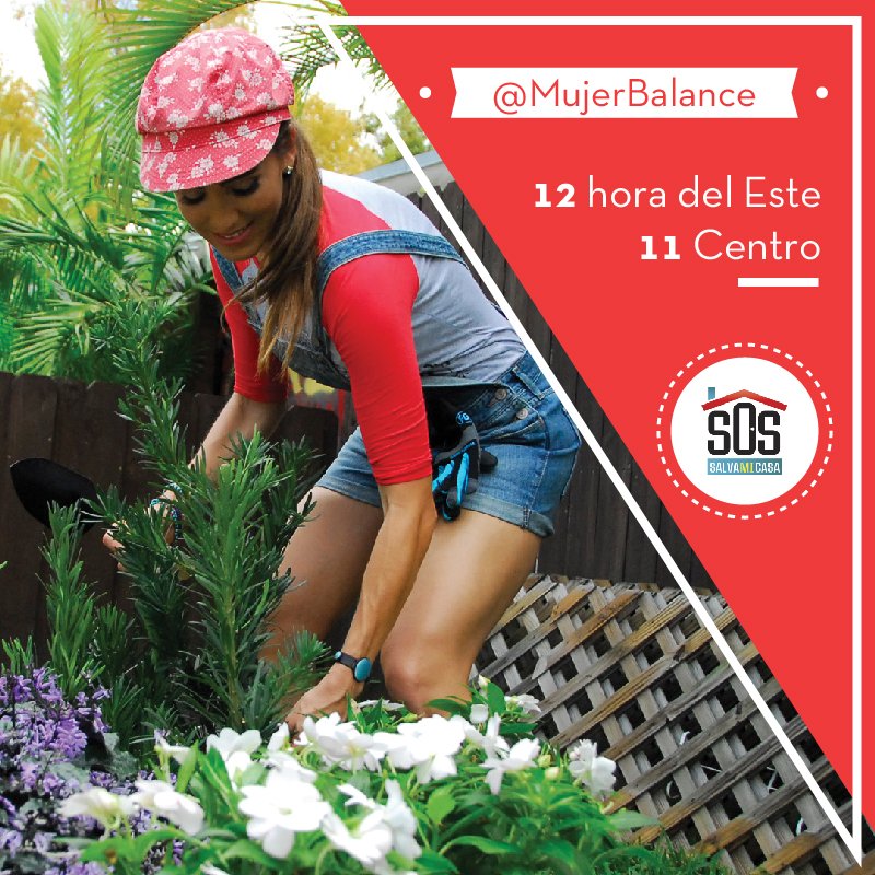 MujerBalance's tweet photo. Nuestra #MujerBalance @AndreaMinski en minutos estará en @Telemundo en #SOSSalvaMiCasa #FelizSábado https://t.co/YqrZI9GiXz