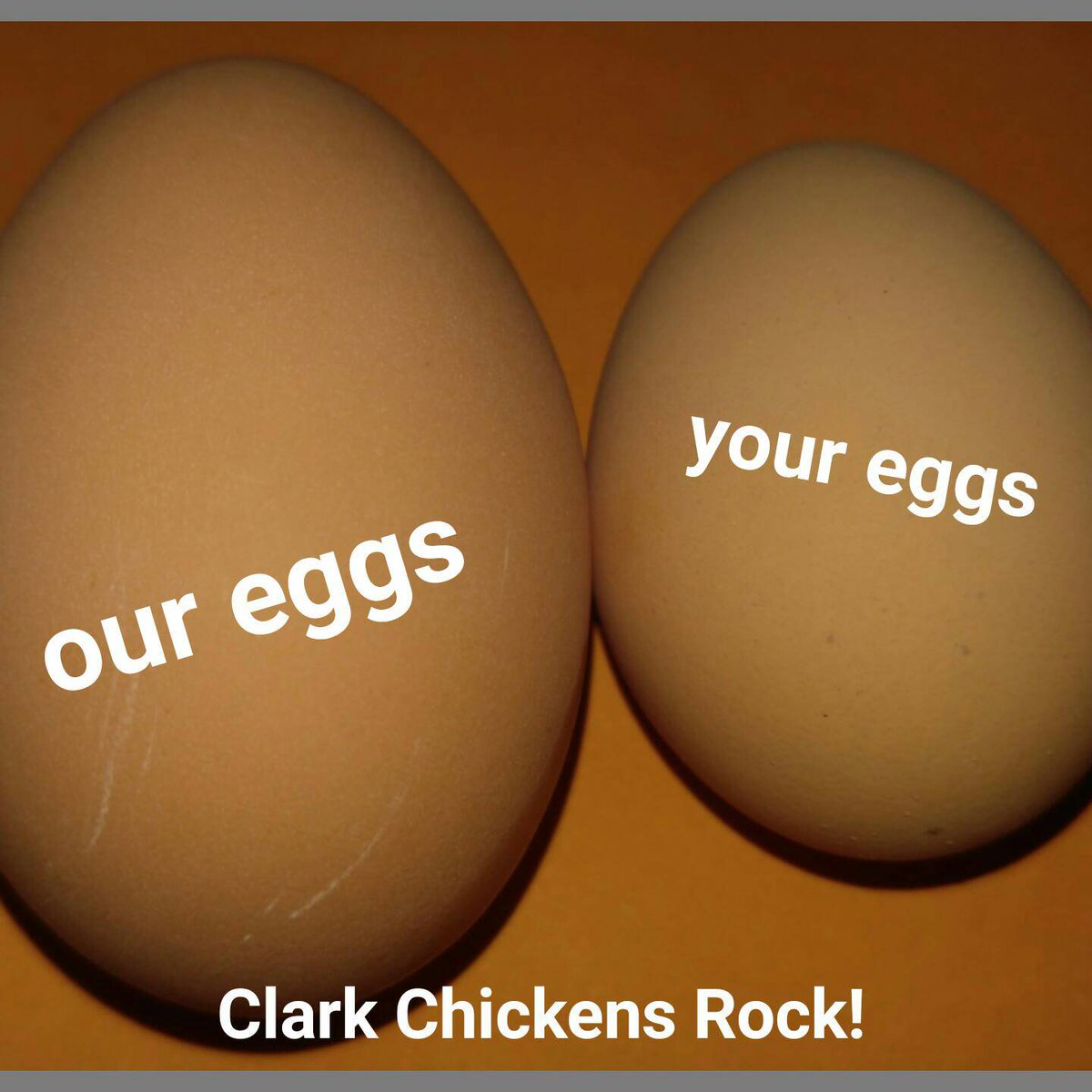 outdoorzmama's tweet photo. Clark Chickens for the WIN!!!
#teamclarks #healthy #family https://t.co/6vS5KKuvXl