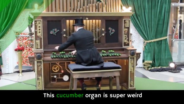 This cucumber organ is super weird holykaw.alltop.com/cucumber-organ…