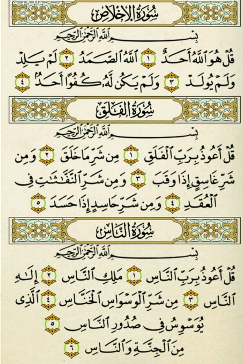 hassanalameri.com (@abuabudll666) on Twitter photo 