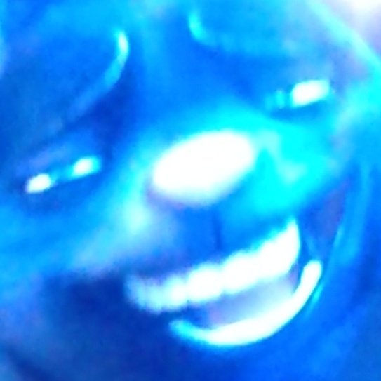 I paused Over The Hedge and this happened