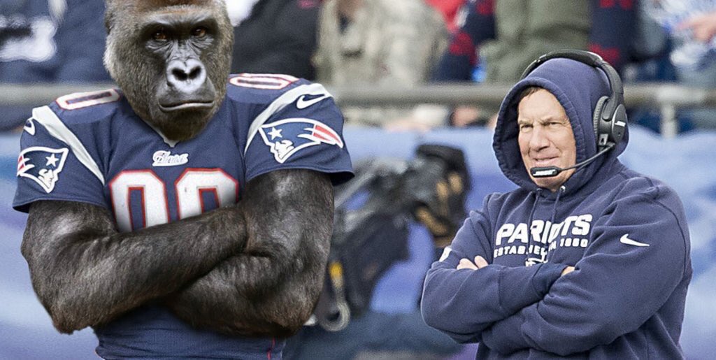 FakeSportsCentr's tweet photo. Rob Gronkowski out for the season? No problem. 

Credit- @woodymlb4 https://t.co/anSdQAiM7r