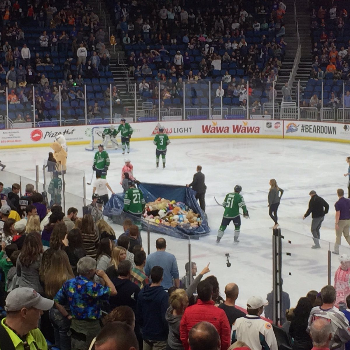 Diane Sears tweet media