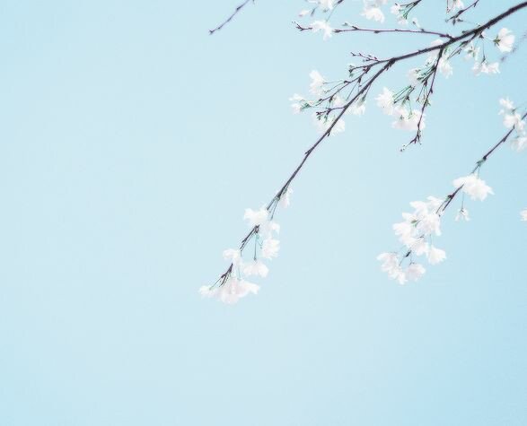 —