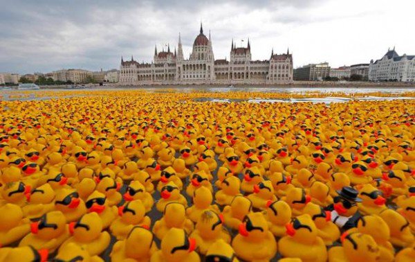 3 Growth Hacking Tools To Increase Your Followers - DickyBird dickybird.co/blog/growth-ha…