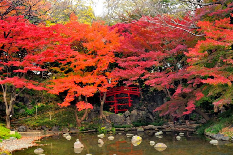 jptrnds's tweet photo. Introduction of Koishikawa Korakuen #Japan #Travel #Guide https://t.co/FI2ale0EMZ https://t.co/n1Gre2NOsr