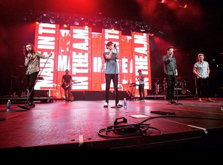TheOfficial1DSF tweet picture