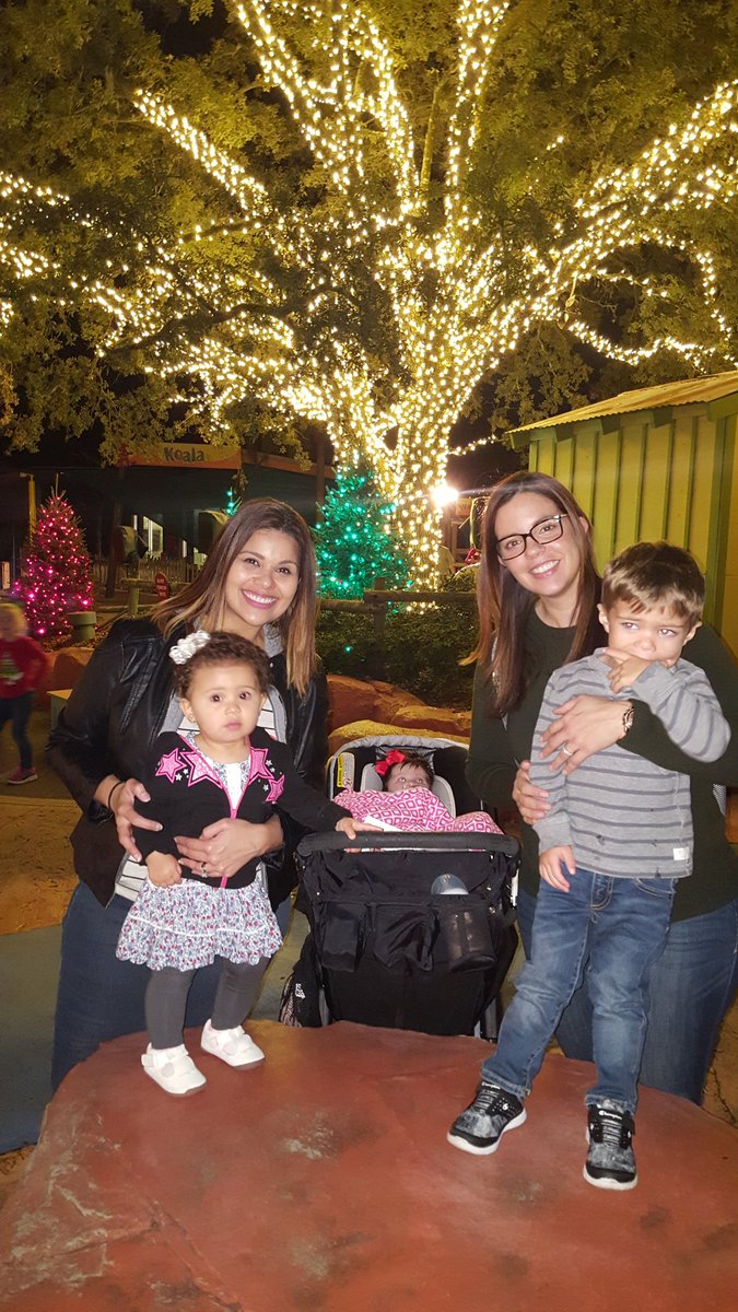 Sarykarmen's tweet photo. Lovely night @LowryParkZoo #ChristmasintheWild #TampaBay https://t.co/xoECnj8vYT