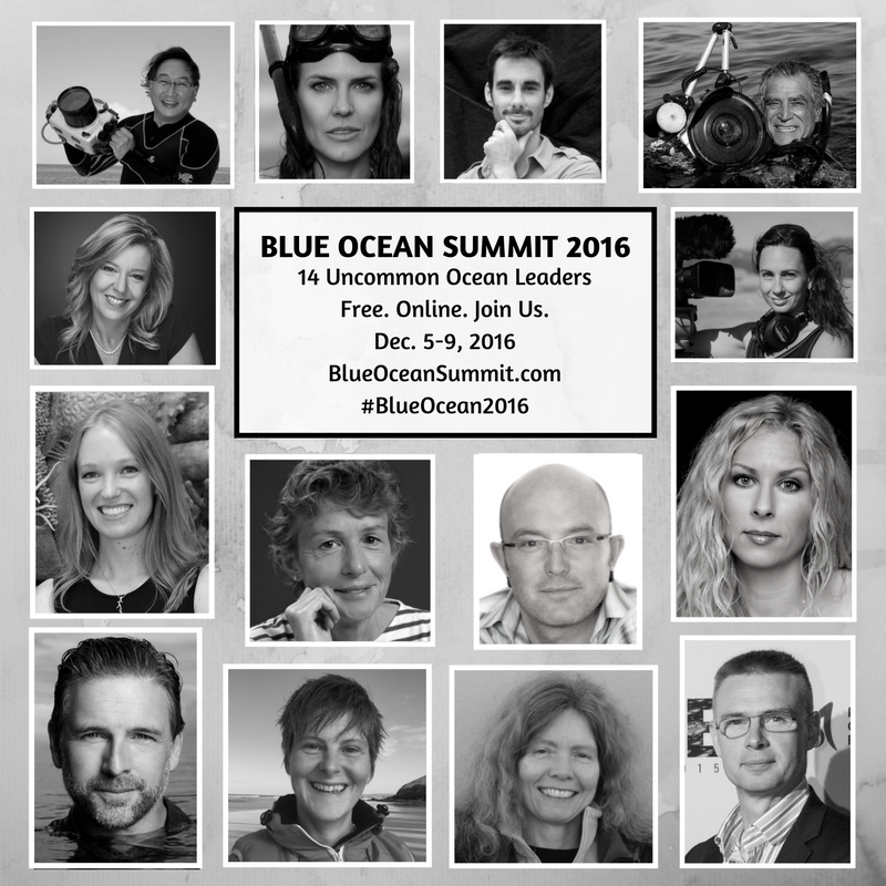 BlueOceanSummit's tweet photo. 14 Uncommon Ocean Leaders. 100% free online. Have you registered for #BlueOcean2016 yet? Do so here: https://t.co/H4fDhovmmx https://t.co/WIJRrf6hd5