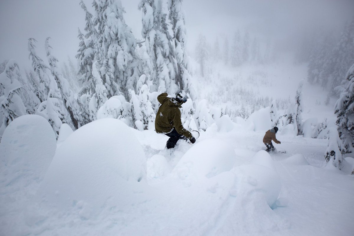 Stevens Pass tweet media
