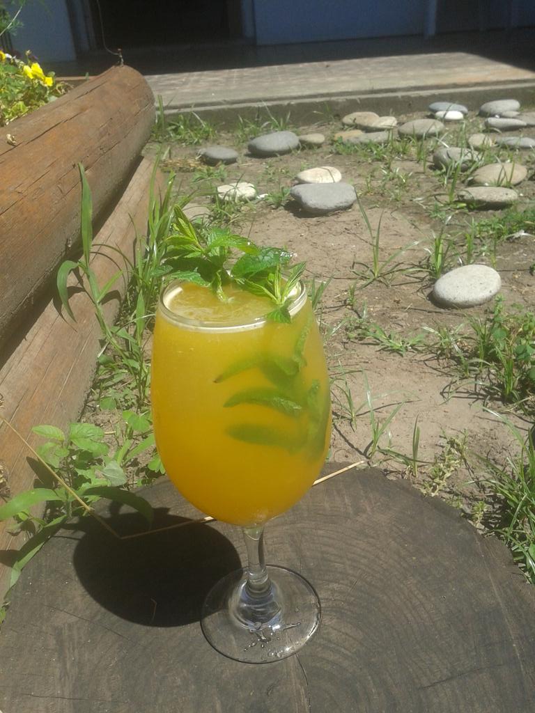 AgusBenedicto's tweet photo. Mandarina, limón, pulpa de maracuya, menta y edulcorante. #Aguassaborizadas https://t.co/zMsr2Cd504