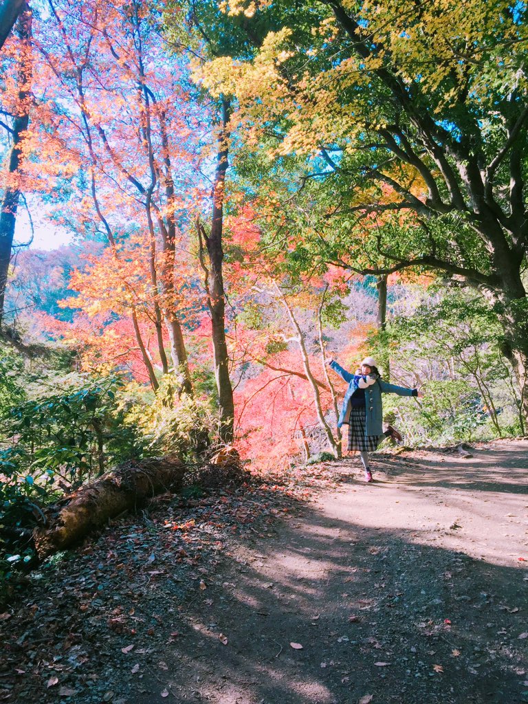 家族で高尾山🐙紅葉きれいだった〜〜！いい季節だなあ。