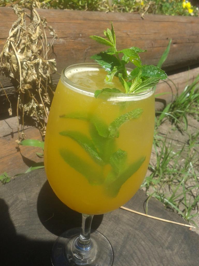 AgusBenedicto's tweet photo. Mandarina, limón, pulpa de maracuya, menta y edulcorante. #Aguassaborizadas https://t.co/zMsr2Cd504