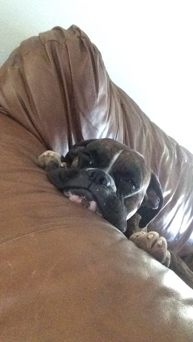 When my professors keep piling on homework