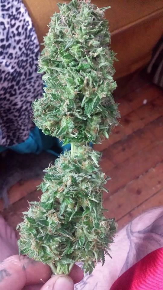 Eenie,Meenie,Miney,Mo