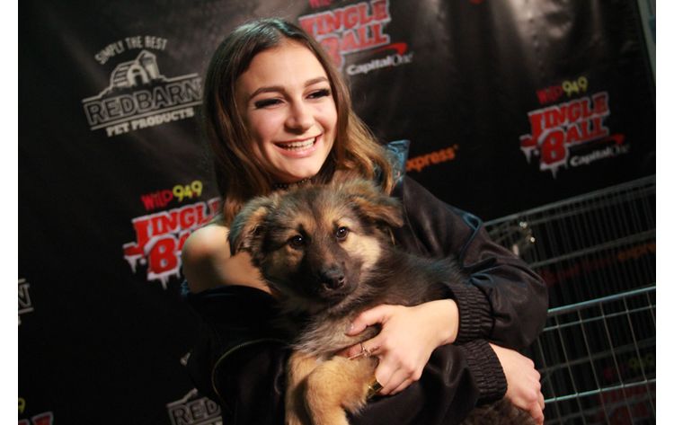 Wild949's tweet photo. OMG you HAVE to check out these cute #JinglePets pics from #Wild949JingleBall! 👉 https://t.co/G5A4er4JEz 👈 #redbarninc #iHeartPFE https://t.co/jFmNLRngwx