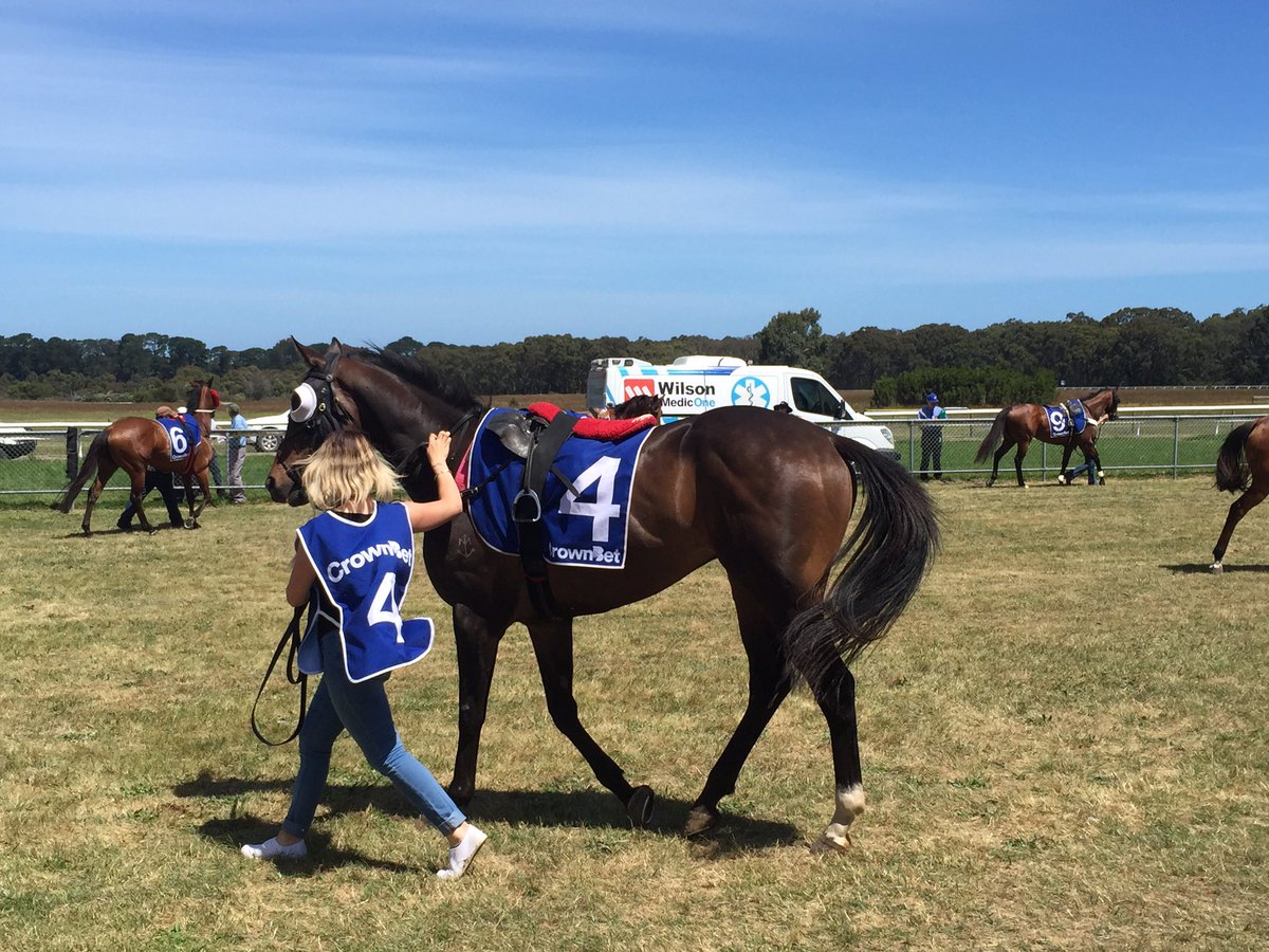 snowyclark's tweet photo. Here is Taqneen (ex Makybe Diva) abt to go Balnarring @picnicracing https://t.co/0SeGzNICsJ