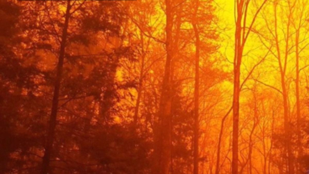 grist's tweet photo. Appalachia, who? The red heart of America is smoldering https://t.co/VwEJgLzQGf https://t.co/Q9zUOTPpm5