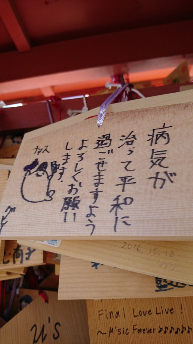 グレー あざらしさん うーん難病ではないのですが 抗生物質がとにかく効きにくい肺の病気で重症化してしまいましてん 完治は無理にしても平和に暮らせるくらいには落ち着いてほしいです