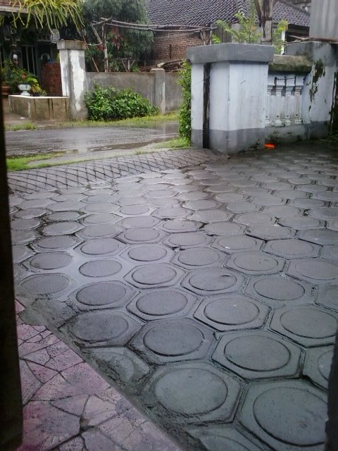 AntokWidayat's tweet photo. Alahmdulillah rizki dari langit sudah turun https://t.co/HRrYgg62FG