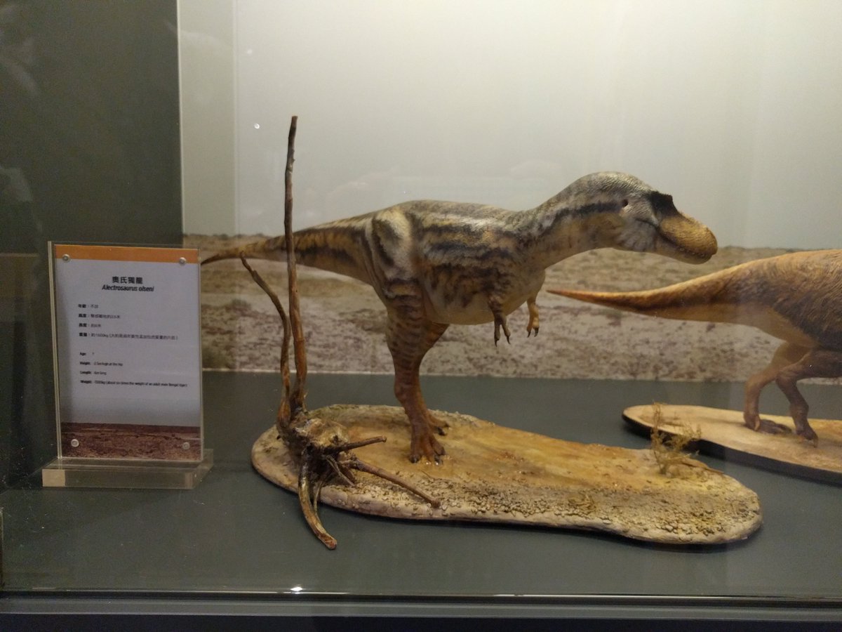 PalaeoPittman's tweet photo. Check out the @dinoecosystems #MOOC course display at #HKScienceMuseum exhibition #TRexRevealed ! @HKUniversity @hku_science @hkuonline https://t.co/iv1YCuCgzQ