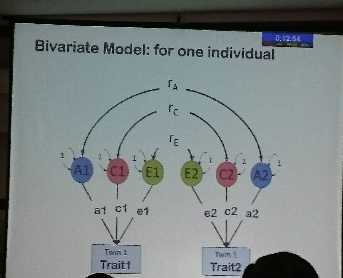 skalidindi1's tweet photo. Fruhling Rijsdijk @ #WASP2016 Delhi Twin modelling metabolic synd Bringing back fond memories of my PhD &amp; invaluable expertise @KingsIoPPN https://t.co/fwopZAcyn0