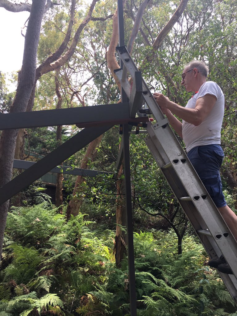 jharleyaus's tweet photo. Getting the frame up - slow but steady progress. Clamps save the day. #OperationTreeHouse https://t.co/hYmkn5KHZi