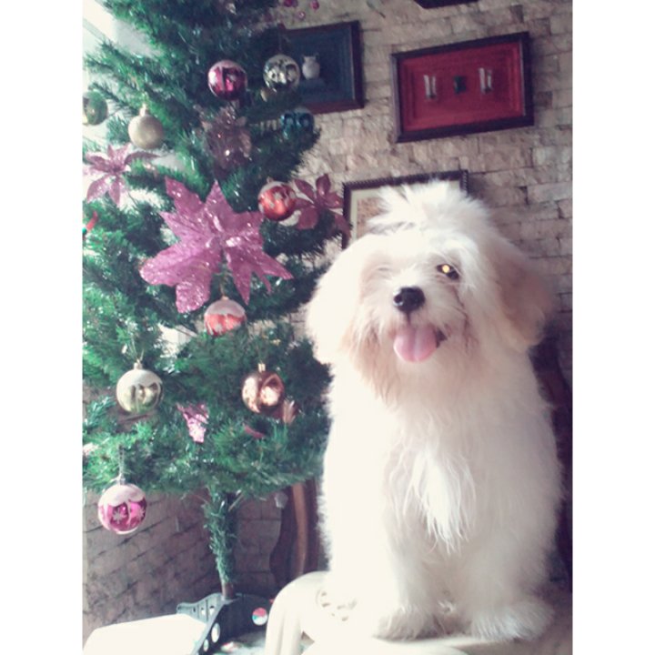 AnaPrets's tweet image. Hiii December♥...