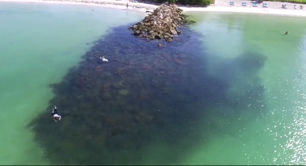 Aerial video footage of the jetty at Lido Beach. Hundreds of species inhabit this snorkeling area. <a href="/FLDEPNews/">Florida DEP News</a> facebook.com/dimossi/posts/…