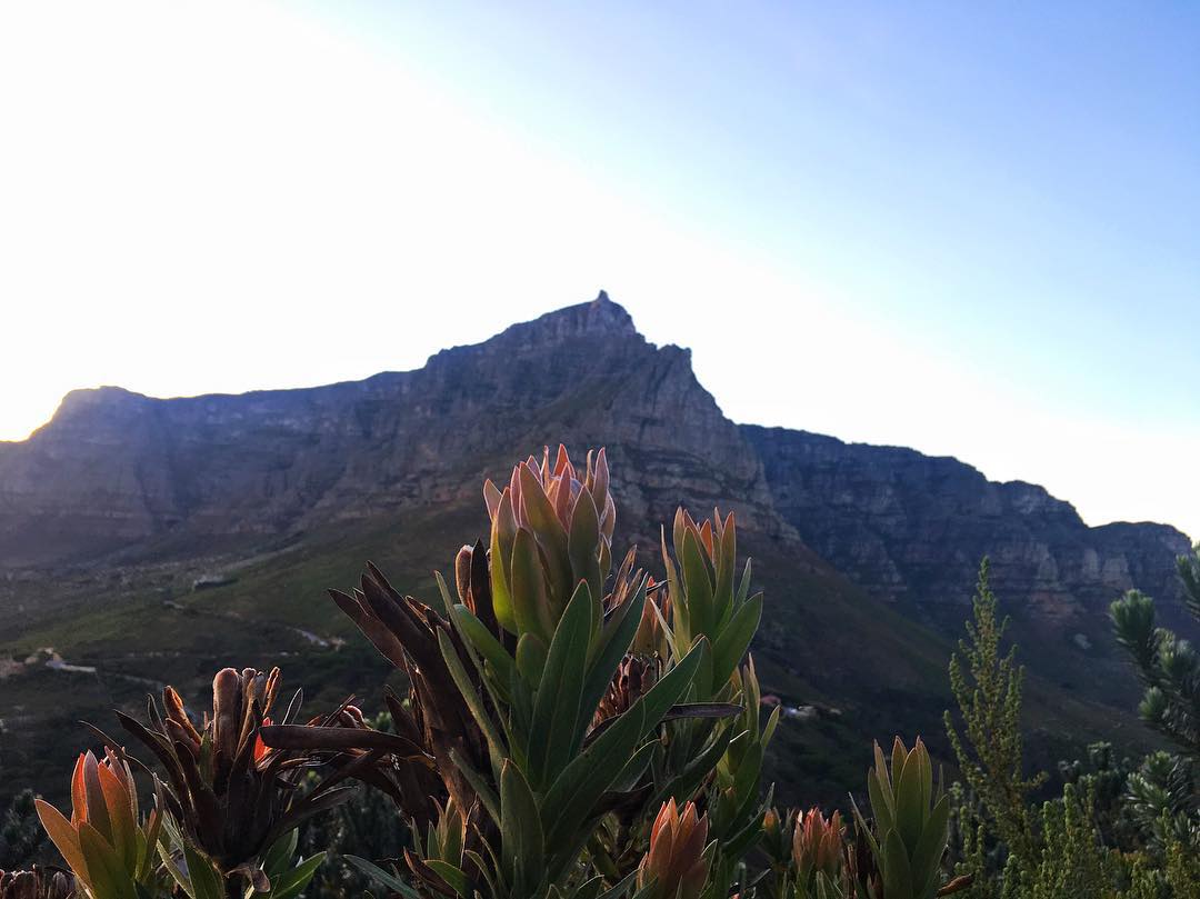 CapeTownMag tweet media